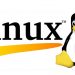 Linuxコマンド・screenでハプニングを切り抜ける！